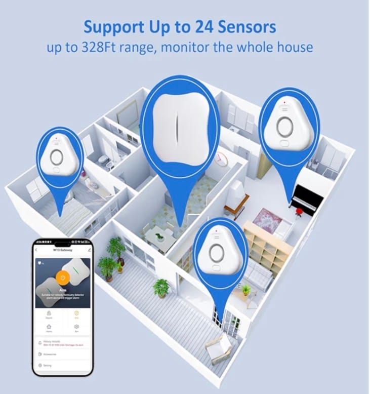 Smart Water Leak Detector 